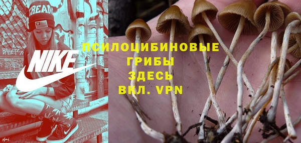 ешки Арсеньев